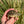 Load image into Gallery viewer, Leopard Tortoise (Pardalis Babcocki)