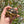 Load image into Gallery viewer, Leopard Tortoise (Pardalis Babcocki) Well Started #2L
