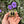 Load image into Gallery viewer, Eastern Hermann’s Tortoise
