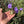 Load image into Gallery viewer, Eastern Hermann’s Tortoise