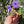 Load image into Gallery viewer, Eastern Hermann’s Tortoise