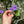 Load image into Gallery viewer, Eastern Hermann’s Tortoise