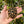 Load image into Gallery viewer, Burmese Star Tortoise Well Started #1B