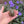 Load image into Gallery viewer, Baby Marginated Tortoise