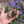 Load image into Gallery viewer, Baby Marginated Tortoise