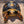 Load image into Gallery viewer, Redfoot Tortoise