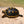 Load image into Gallery viewer, Redfoot Tortoise