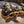 Load image into Gallery viewer, Redfoot Tortoise