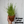 Load image into Gallery viewer, Grazing Grassland Seed Mix