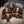Load image into Gallery viewer, Redfoot Tortoise