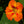 Load image into Gallery viewer, David’s Jungle Flower Seed Mix - David's Jungle