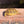 Load image into Gallery viewer, Golden Greek Tortoise