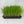 Load image into Gallery viewer, Fast Growing Grass Seeds (Red Wheatgrass) - David's Jungle