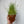 Load image into Gallery viewer, Grazing Grassland Seed Mix