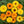Load image into Gallery viewer, Calendula Seed Mix 3g - David's Jungle