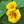 Load image into Gallery viewer, Nasturtium Seed Mix 3g - David's Jungle