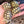 Load image into Gallery viewer, Baby Sulcata Tortoise (Preorder) - David's Jungle