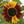 Load image into Gallery viewer, Sunflower Seeds Autumn Beauty