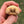 Load image into Gallery viewer, Ivory Sulcata Tortoise