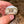 Load image into Gallery viewer, Hatch-A-Tortoise (Sulcata) - David's Jungle