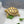 Load image into Gallery viewer, Baby Sulcata Tortoise (Preorder) - David's Jungle