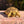 Load image into Gallery viewer, Golden Greek Tortoise