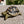 Load image into Gallery viewer, Baby Leopard Tortoise - David's Jungle