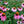 Load image into Gallery viewer, Purple Coneflower Seeds 3g - David's Jungle