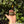 Load image into Gallery viewer, Well Started Cherryhead Tortoise #CO1
