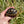 Load image into Gallery viewer, Leopard Tortoise (Pardalis Babcocki) Well Started #2E
