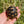 Load image into Gallery viewer, Leopard Tortoise (Pardalis Babcocki) Well Started #2E
