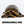 Load image into Gallery viewer, Adult Male YellowFoot Tortoise
