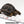 Load image into Gallery viewer, Aldabra Tortoise
