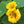 Load image into Gallery viewer, David’s Jungle Flower Seed Mix - David&#39;s Jungle

