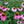 Load image into Gallery viewer, David’s Jungle Flower Seed Mix - David&#39;s Jungle
