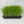 Load image into Gallery viewer, Fast Growing Grass Seeds (Red Wheatgrass) - David&#39;s Jungle
