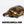 Load image into Gallery viewer, Adult Male YellowFoot Tortoise
