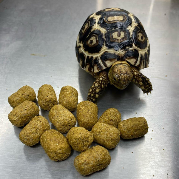 Mazuri Tortoise Diet - David's Jungle