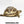 Load image into Gallery viewer, Yearling Leopard Tortoise

