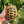 Load image into Gallery viewer, Adult Russian Tortoise Pair
