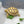 Load image into Gallery viewer, Baby Sulcata Tortoise (Preorder) - David&#39;s Jungle
